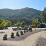 Cambria_2015_0138 (November 07, 2015)